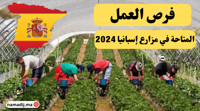 فرص العمل المتاحة في مزارع إسبانيا 2024